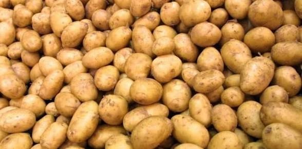 الزراعة تفتح استيراد الخضر وتوقف الرسوم على البيض والدواجن
